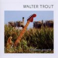Walter Trout - Common Ground - 